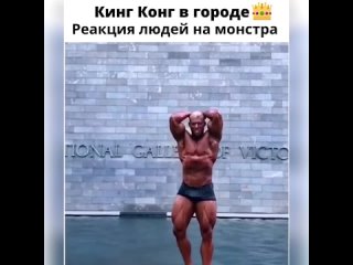 powerful bodybuilder vjoysq rekmnehbcn